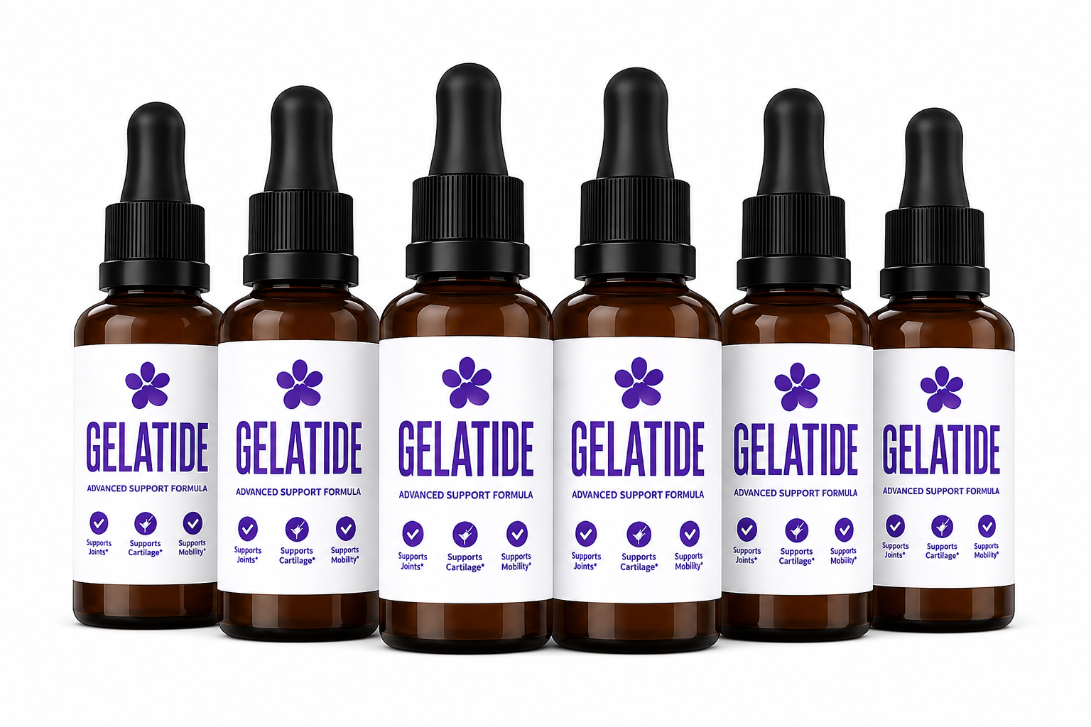 Gelatide 6-bottle supply